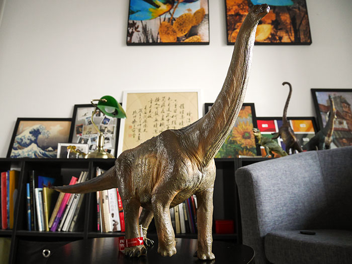 pnso恐龙大王的黄河巨龙入手!