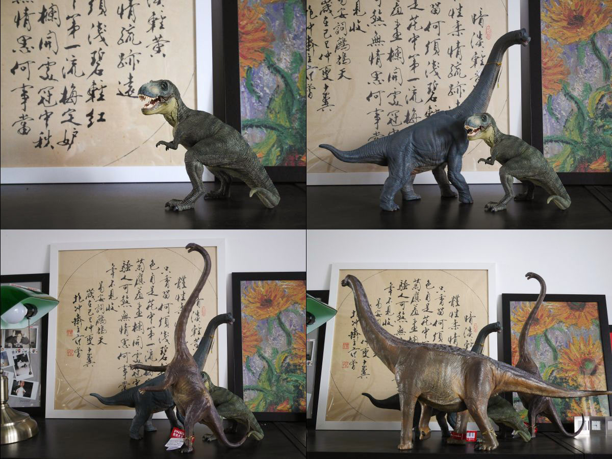 pnso恐龙大王的黄河巨龙入手!